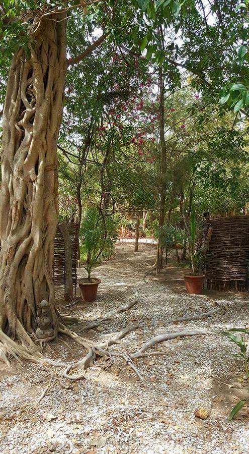 Evergreen Eco Lodge Retreat Tujereng 외부 사진